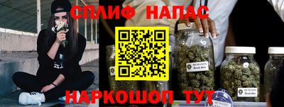Альфа ПВП Дубна