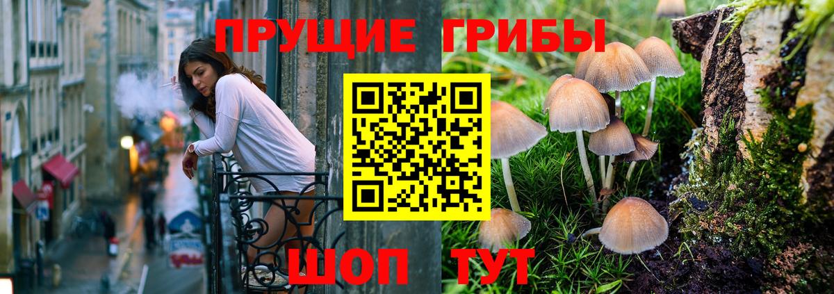 Елизово  Псилоцибиновые грибы GOLDEN TEACHER  Вход с VPN 
